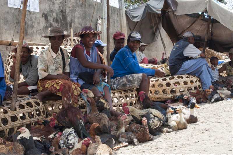 Twine platform is growing: from HIS (Health Information System) to Livelihood & Energy sector