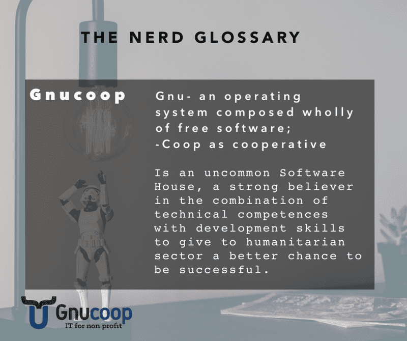 Gnucoop: a Software House with Humanitarian skills and Free Software Heart